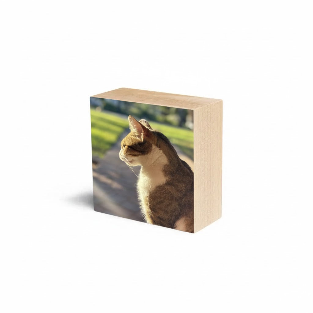 High-resolution 4x4 photo prints of a cat mounted on a solid maple wood block.
