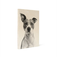 Birch Pet Portrait Wood Print